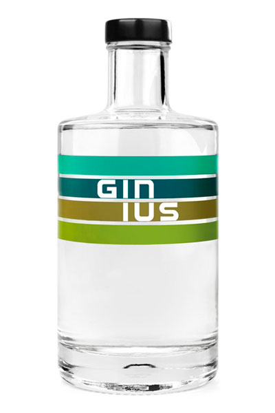 Duingin Ginius